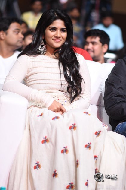 Lie-Movie-Pre-Release-Function